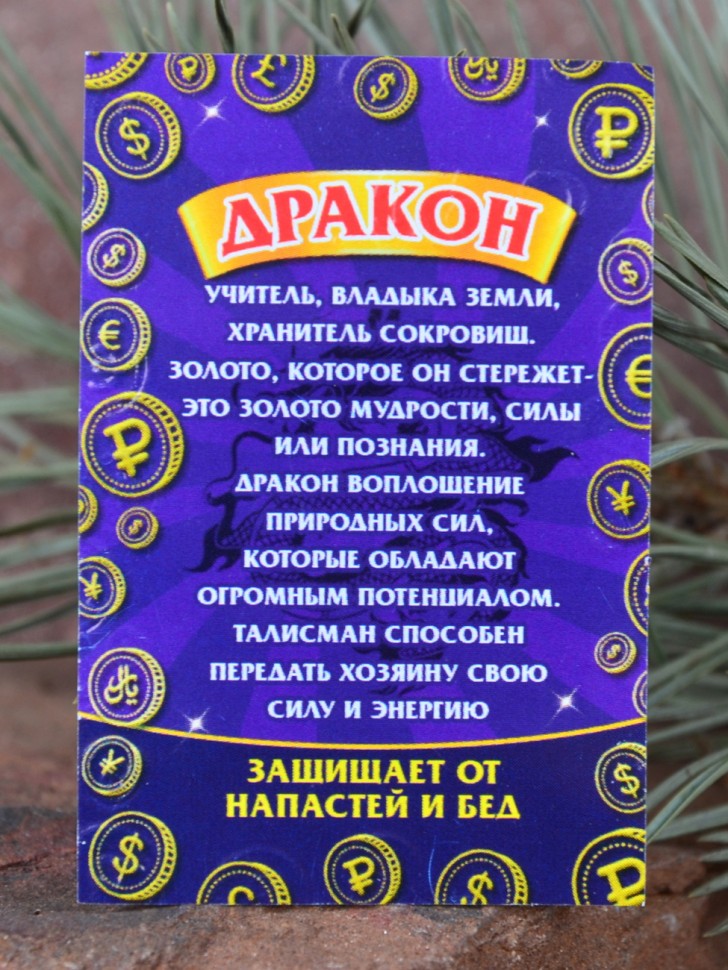 Брошь-оберег "Дракон-Защитник"