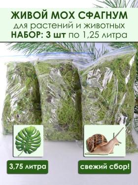 Набор 3 шт: Живой мох сфагнум 1,25л х 3