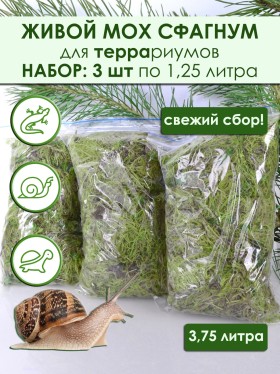 Набор 3 шт: Мох сфагнум для террариума: 1,25л х 3