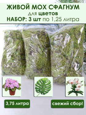 Набор 3 шт: Живой мох сфагнум 1,25л х 3