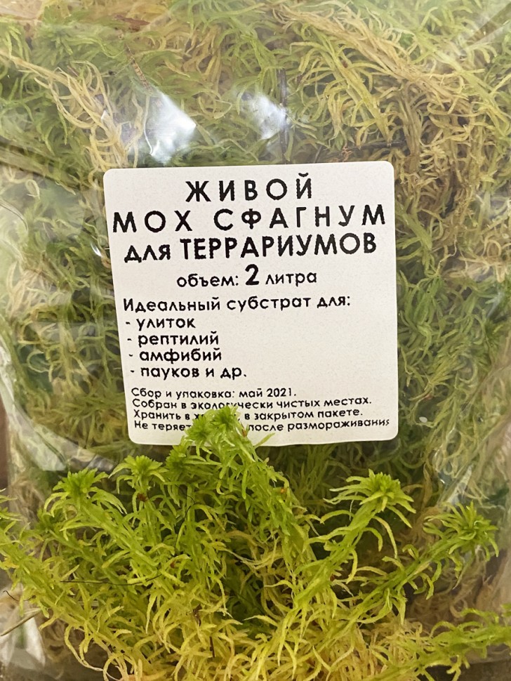 Живой мох сфагнум для ТЕРРАриумов: 2 литра, 2021г.