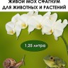 Живой мох сфагнум для животных и цветов, 1,25 л.