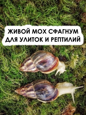 для ТЕРРАриумов: плохой рейтинг