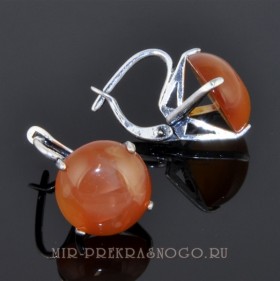 Серьги с сердоликом НЛО сНСР-827