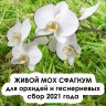 Живой мох сфагнум для орхидей, фиалок: 1,25 л, 2022г.