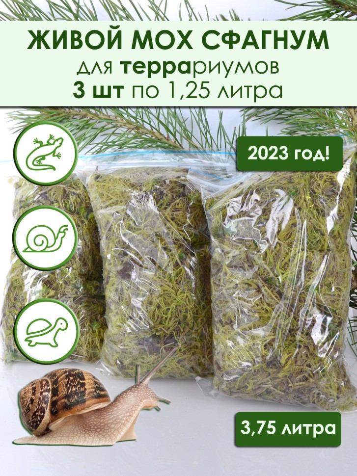 Набор 3 шт: Мох сфагнум для террариума: 1,25л х 3