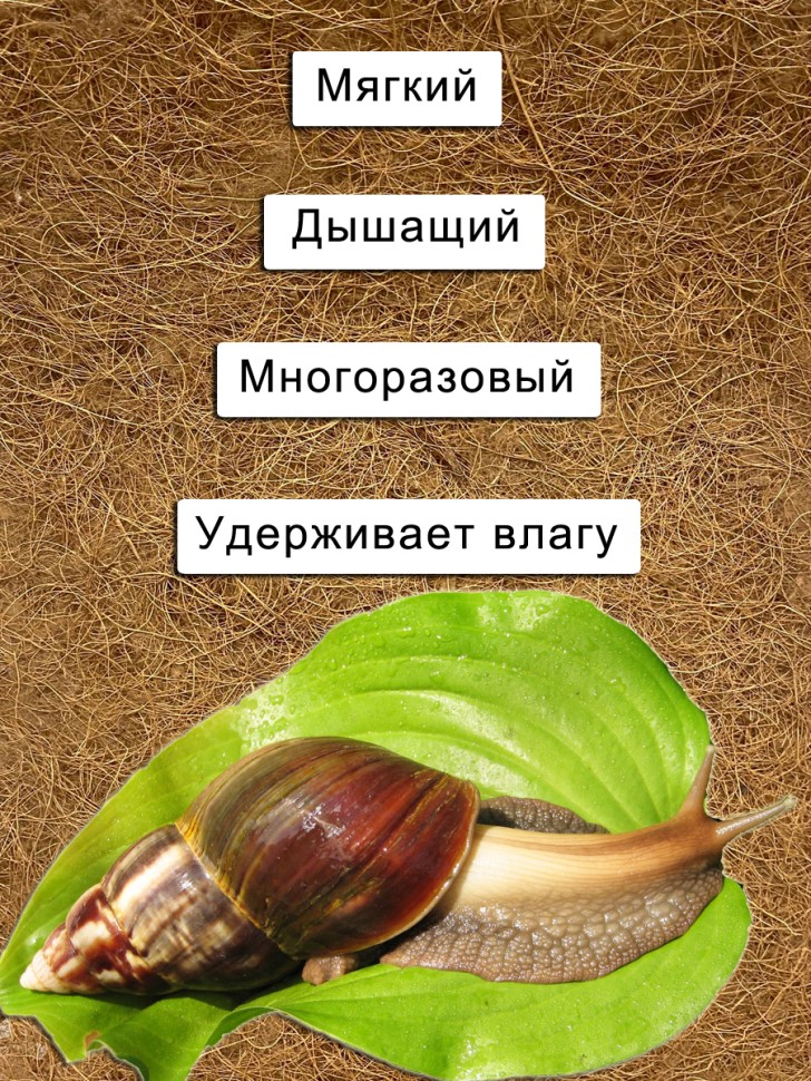 Кокосовый мат 20*30 см для улиток 