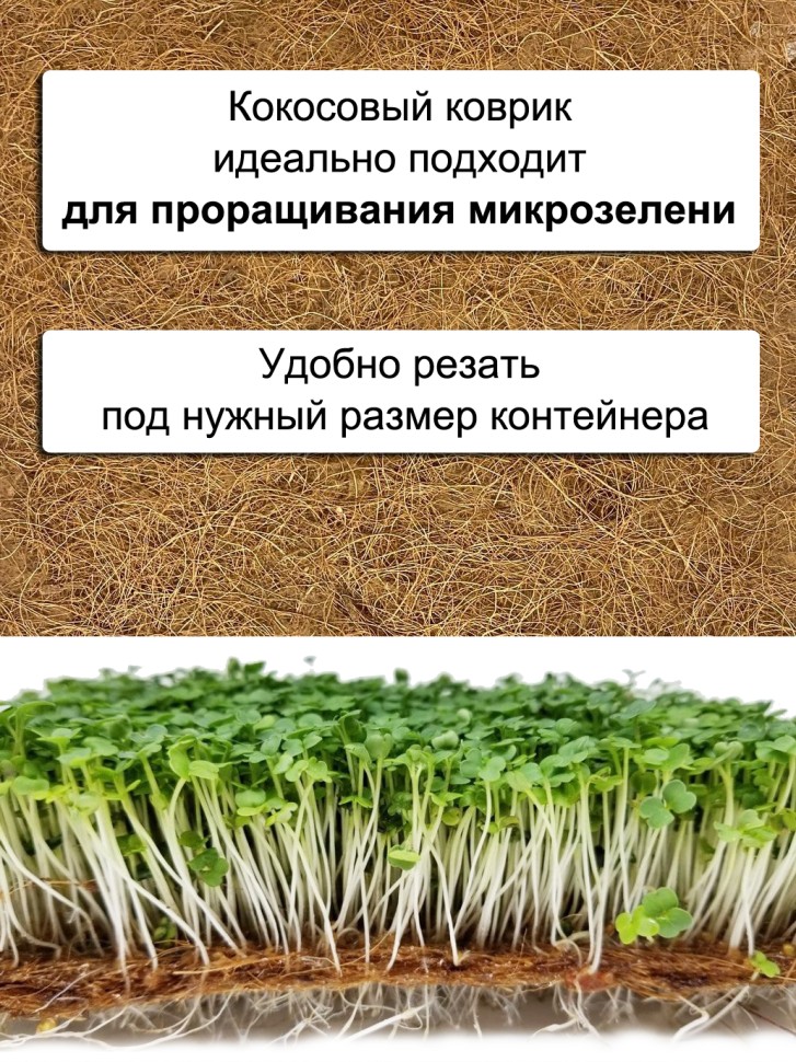 Кокосовый мат 20*30 см для улиток 