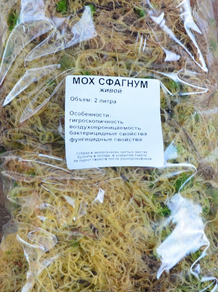 Живой мох сфагнум: 2 литра
