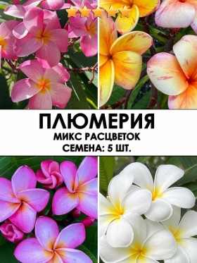 Плюмерия микс расцветок. Семена: 5 шт.