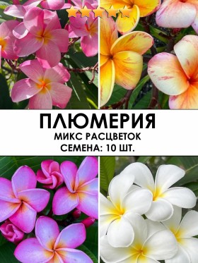 Плюмерия микс расцветок. Семена: 10 шт.