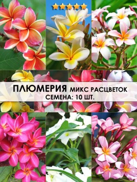 Плюмерия микс расцветок. Семена: 10 шт.